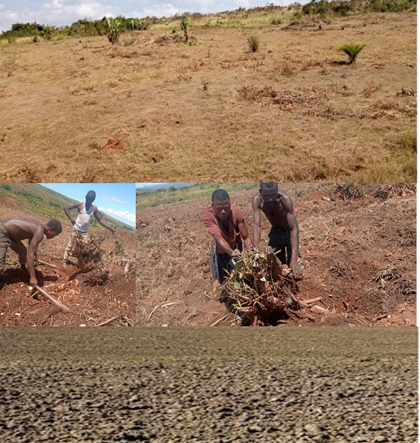 Agriculture durable